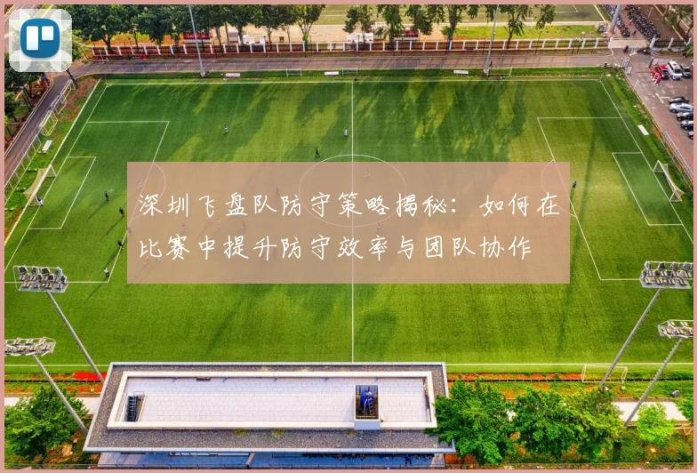 深圳飞盘队防守策略揭秘:如何在比赛中提升防守效率与团队协作