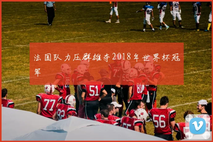 法国队力压群雄夺2018年世界杯冠军