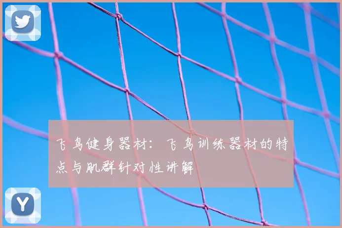 飞鸟健身器材:飞鸟训练器材的特点与肌群针对性讲解