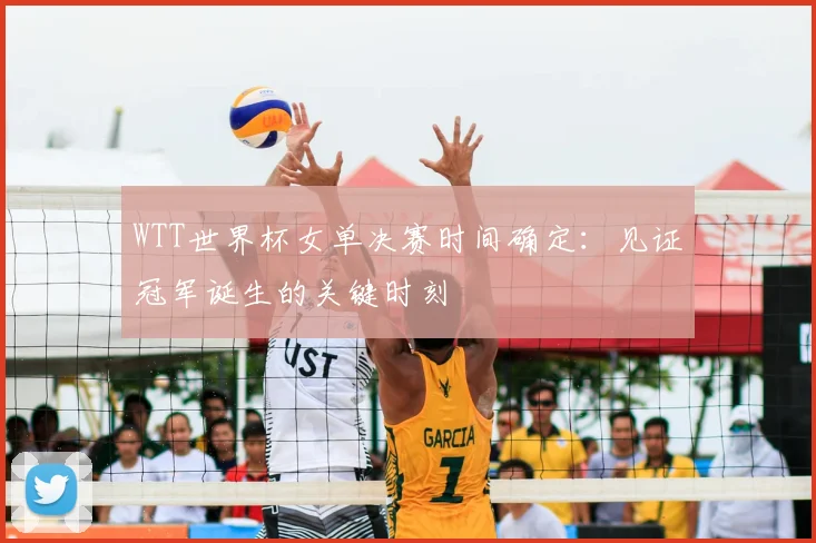 WTT世界杯女单决赛时间确定:见证冠军诞生的关键时刻