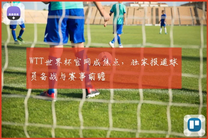 WTT世界杯官网成焦点,独家报道球员备战与赛事前瞻