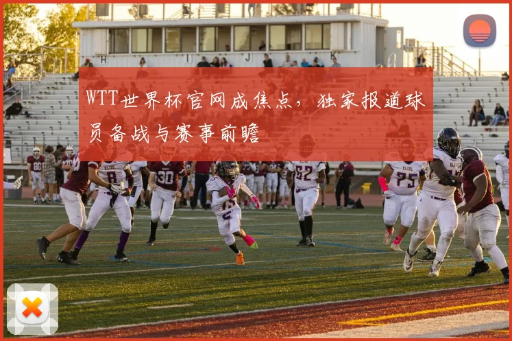WTT世界杯官网成焦点，独家报道球员备战与赛事前瞻