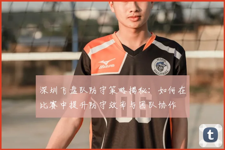 深圳飞盘队防守策略揭秘:如何在比赛中提升防守效率与团队协作