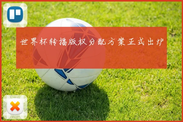 世界杯转播版权分配方案正式出炉